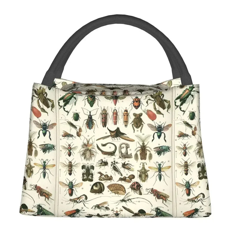 Putukate lõunakotid isoleeritud Bento kastiga kaasaskantavad lõunasöögikotid piknikukotid jahutuskott naistele lastele kontorisse