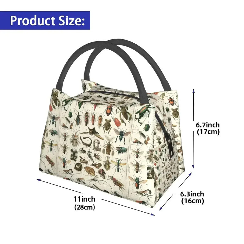 Putukate lõunakotid isoleeritud Bento kastiga kaasaskantavad lõunasöögikotid piknikukotid jahutuskott naistele lastele kontorisse