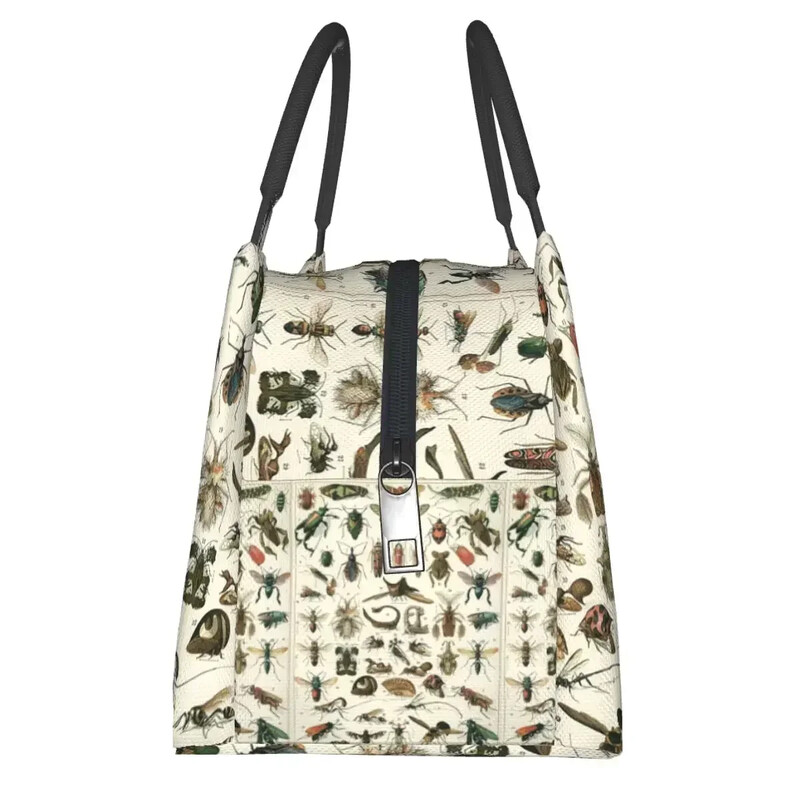 Putukate lõunakotid isoleeritud Bento kastiga kaasaskantavad lõunasöögikotid piknikukotid jahutuskott naistele lastele kontorisse