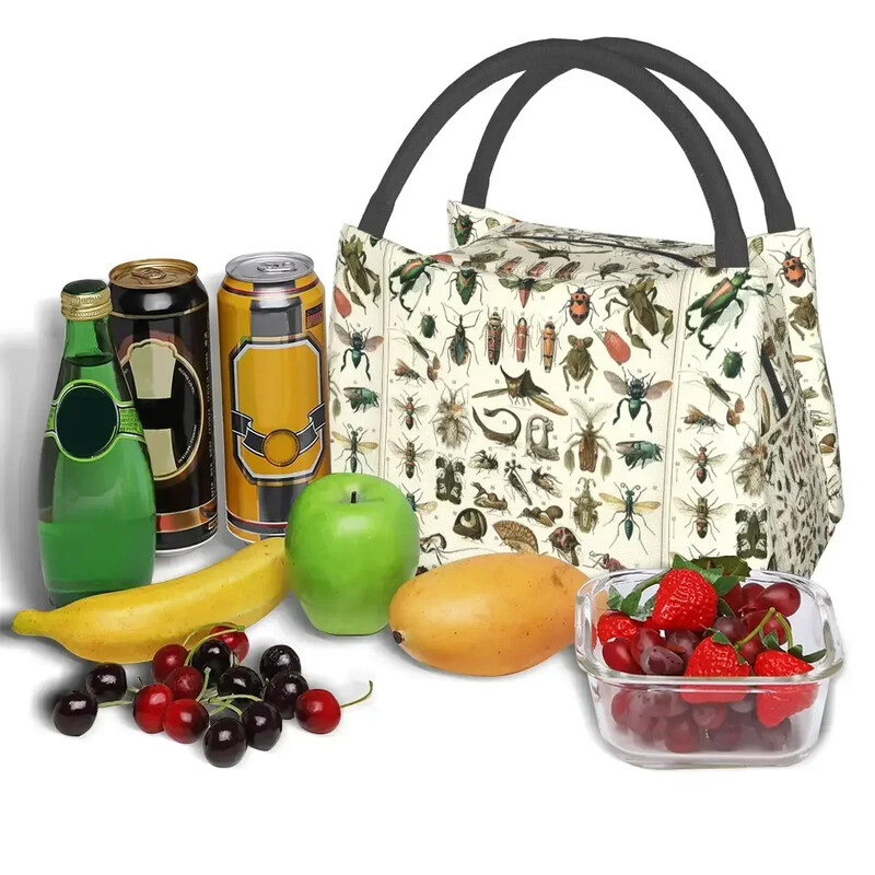 Putukate lõunakotid isoleeritud Bento kastiga kaasaskantavad lõunasöögikotid piknikukotid jahutuskott naistele lastele kontorisse