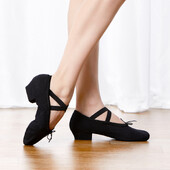 Profesionalne baletne cipele za ples, plesne cipele s niskom petom za djevojčice, platnene učiteljske cipele za satove plesa