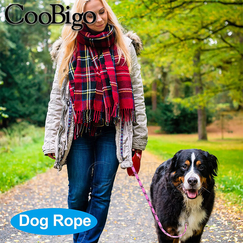 3 mm Paracord 350 parašiuto laidas, lauko žygiai, stovyklavimas, išgyvenimo apyrankė, virvė šunų antkaklio juostos priedai, vieno šerdies 100/328 pėdų