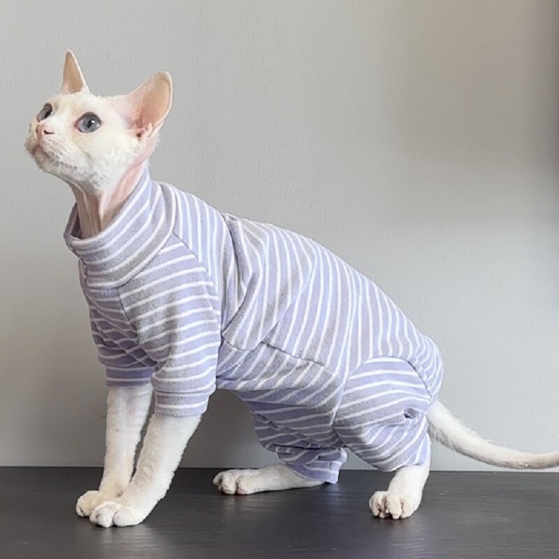 Sfinksas vokiečių katės drabužiai be plaukų keturkojų pilvo apsauga šilti rūbai vokiškas aksomas patogūs ryškios juostelės