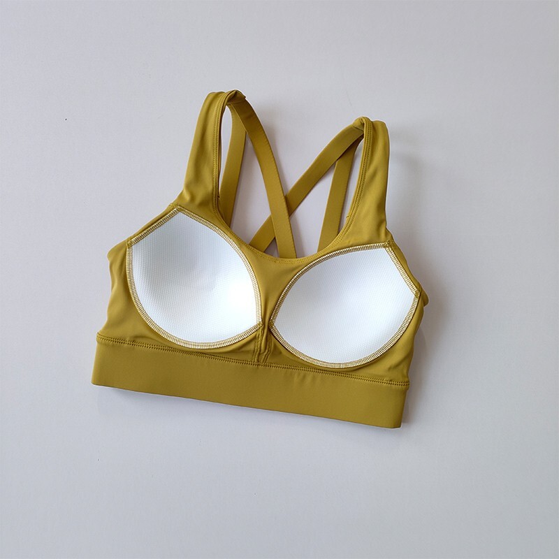 Vrhunski sportski grudnjak Gym Push Up grudnjak Ženska leđa Visoki udarni sportski gornji dio Crop Fitness odjeća za jogu Gym Grudnjak Sportska odjeća