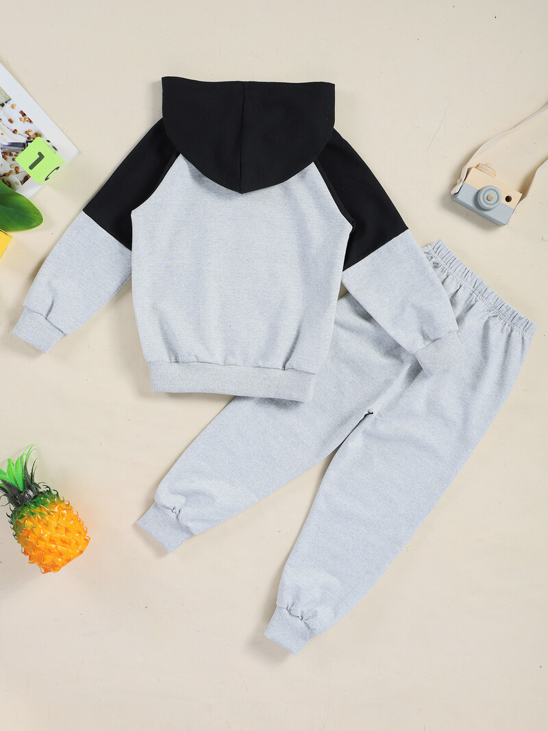 Sportska odjeća za dječake Kompleti ležerne odjeće Proljeće Jesen Trenirka s kapuljačom i patentnim zatvaračem u boji, kaput + duge hlače Odijelo za trčanje