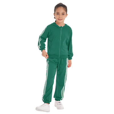 2Pcs Dječji Dječaci Proljeće Jesen Pamučni Sportski Kompleti Odijelo Trenirke Dukserica s kapuljačom Dugi rukavi S patentnim zatvaračem Top Komplet hlača na pruge