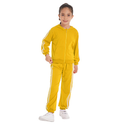 2Pcs Dječji Dječaci Proljeće Jesen Pamučni Sportski Kompleti Odijelo Trenirke Dukserica s kapuljačom Dugi rukavi S patentnim zatvaračem Top Komplet hlača na pruge