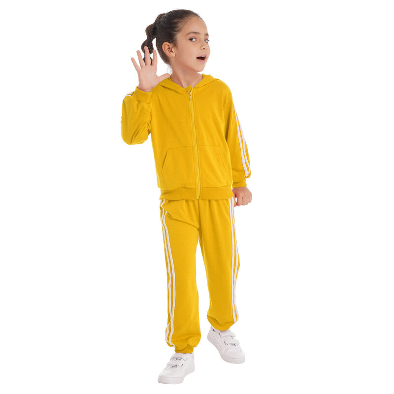 2Pcs Dječji Dječaci Proljeće Jesen Pamučni Sportski Kompleti Odijelo Trenirke Dukserica s kapuljačom Dugi rukavi S patentnim zatvaračem Top Komplet hlača na pruge