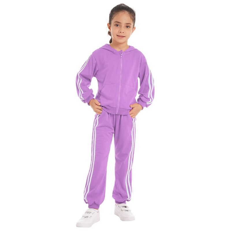 2Pcs Dječji Dječaci Proljeće Jesen Pamučni Sportski Kompleti Odijelo Trenirke Dukserica s kapuljačom Dugi rukavi S patentnim zatvaračem Top Komplet hlača na pruge