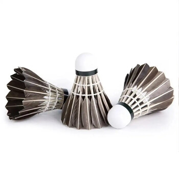 3/6/12 τμχ Επαγγελματικό μπάντμιντον Shuttlecock Black Goose Feather Badminton Shuttlecock Training Sport Ball Badminton