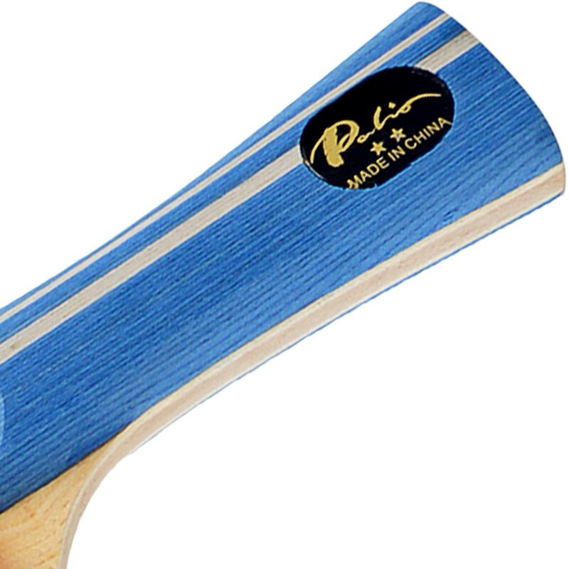 Originalni reket za stolni tenis PALIO 2 Stars s CJ8000 gumenom omčom, napadačka palica za ping pong s torbom
