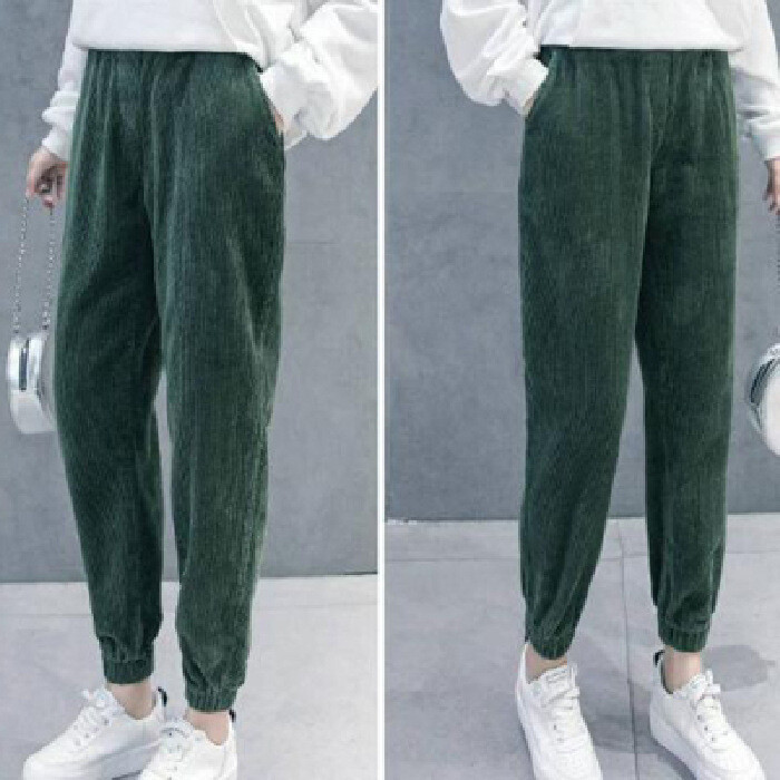 Velveto pastorintos elastinės juosmens kelnės laisvos haremo kelnės 2022 rudens ir žiemos juodos korėjietiško stiliaus laisvalaikio kelnės aukštu juosmeniu cross-bord