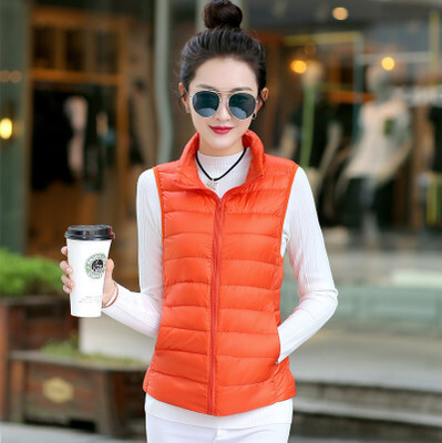 Nova jesen 2024., jednobojna, uska kratka, ležerna modna punja jakna sa samostojećim ovratnikom, ženski kardigan, svijetli punji kardigan, ženski