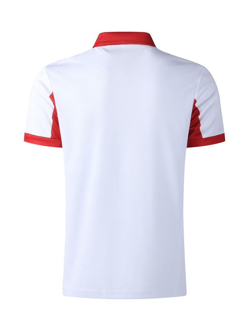 2024. aasta uus mood meeste lühikeste varrukatega polosärk Liibuv triibulise trükiga tänavarõivad vabaaja meeste hingavad meesterõivad