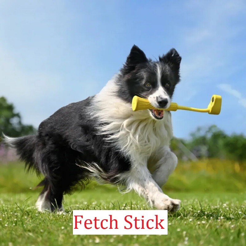 Insta360 GO 3 Originalna kolekcija dodataka Torbica za ronjenje Torbica za nošenje Štitnik za objektiv Brzo otpuštajući nosač Magnet Privjesak Zaštita zaslona