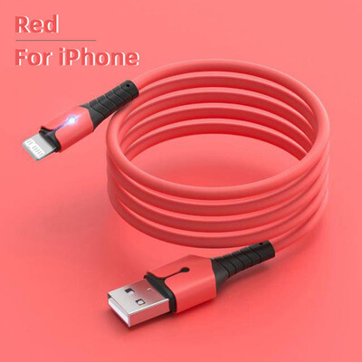 USB laidas, skirtas iPhone 14 13 12 11 Pro Max XS XR 6s 7 8 Plus iPad 3A greito įkrovimo kabelis USB į IOS duomenų kabelis greito įkroviklio laidas