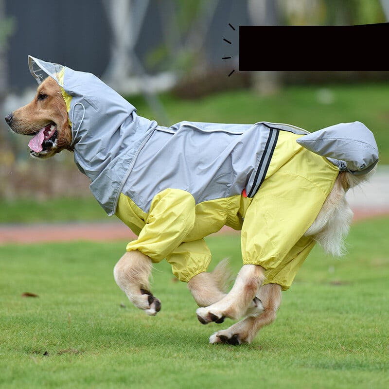 Didelis šuns lietpaltis auksaspalvis retriveris samojedas vidutinio dydžio šuo naminio šuns uodega viskas įskaičiuota vandeniui atsparus pilvo lietpaltis pončo