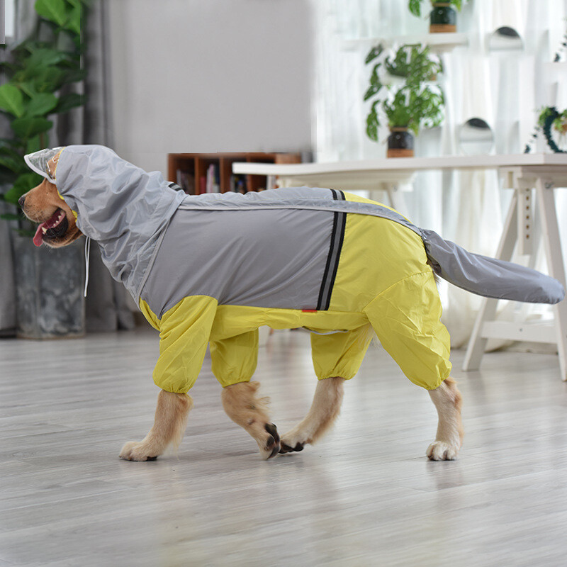 Didelis šuns lietpaltis auksaspalvis retriveris samojedas vidutinio dydžio šuo naminio šuns uodega viskas įskaičiuota vandeniui atsparus pilvo lietpaltis pončo