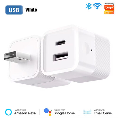 Tuya WiFi Smart TypeC USB adaptera slēdzis 2 vienā Mini USB barošanas adaptera lādētājs Spraudnis Laika balss vadība darbojas ar Alexa Google