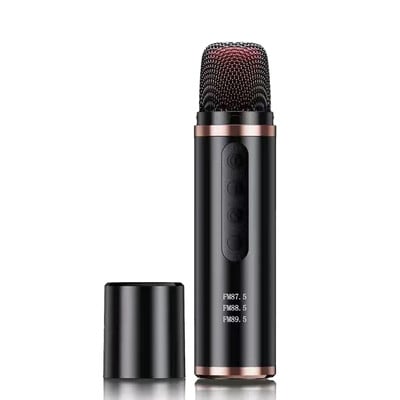 Mini player portabil cu microfon Karaoke Bluetooth pentru mașină Înregistrare melodii Echipament de transmisie live FM Cars Mic fără fir