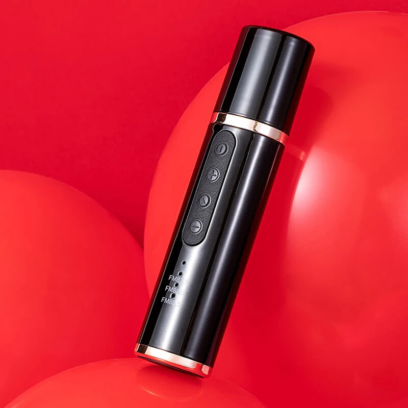 Mini player portabil cu microfon Karaoke Bluetooth pentru mașină Înregistrare melodii Echipament de transmisie live FM Cars Mic fără fir