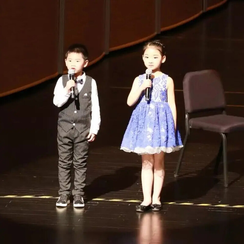 Vakarėlio pratybų mikrofonas Mikrofono rekvizitas Karaoke Rekvizitas Žaislas netikras mikrofonas Kalbos imitavimas Scenos kostiumas Rekvizitas Mikrofonas Groti