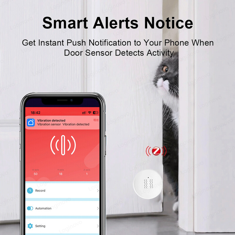 Zigbee vibratsiooniandur Smart Life Tuya Shock Kallutuse häiretuvastus Ukseakna detektor Turvakaitse Alexa Google