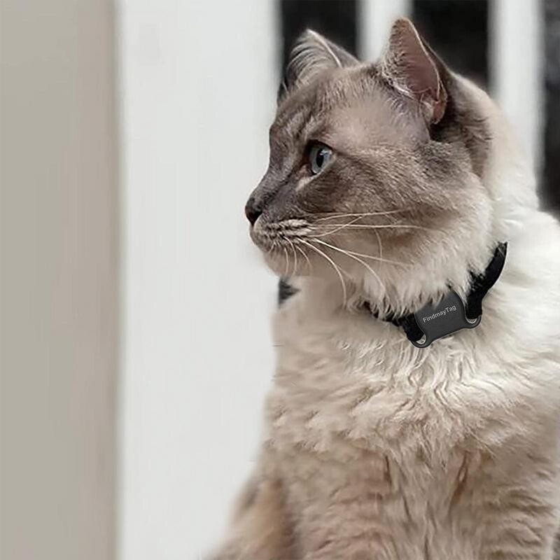 GPS išmanusis vandeniui atsparus naminių gyvūnėlių lokatorius Mini GPS sekiklis, apsaugantis nuo pametimo Bluetooth lokatoriaus sekimo antkaklis kačių šunims. Vietos nustatymas