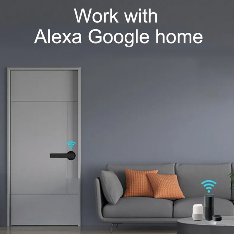 TYSH Tuya Smart automātiskā drošības biometriskā pirkstu nospiedumu roktura slēdzene Cerradura Inteligent Lock elektroniskā viedā durvju slēdzene