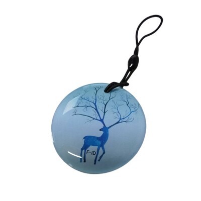 1 vnt. animacinių filmų lašų klijai EM4305 T5577 lustas RFID tuščia kortelė 125 khz perrašomas pultelis ID Llavero Porta Chave proximity, rašomas