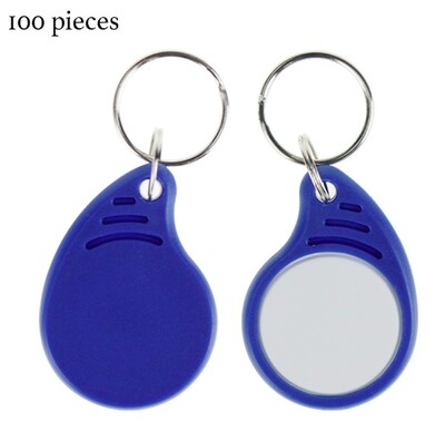 Uued saabunud RFID IC võtmehoidjad 13,56 MHz võtmehoidjad NFC võtmesildid ISO14443A MF Classic 1k märgisilt nutika juurdepääsukontrollisüsteemi jaoks