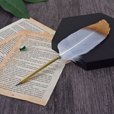 Jednodijelni pribor za pisanje, slatka pernata kemijska olovka lijepog osobnog stila