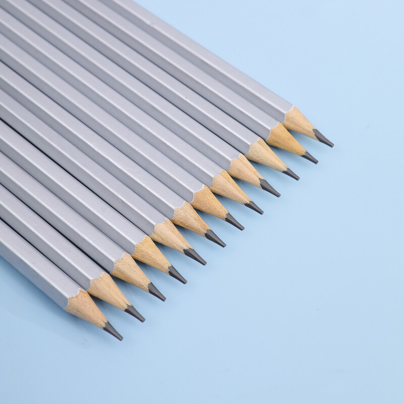 2B olovke za crtanje Olovka za skice 12 komada grafitnih profesionalnih crnih olovaka za crtanje i pisanje