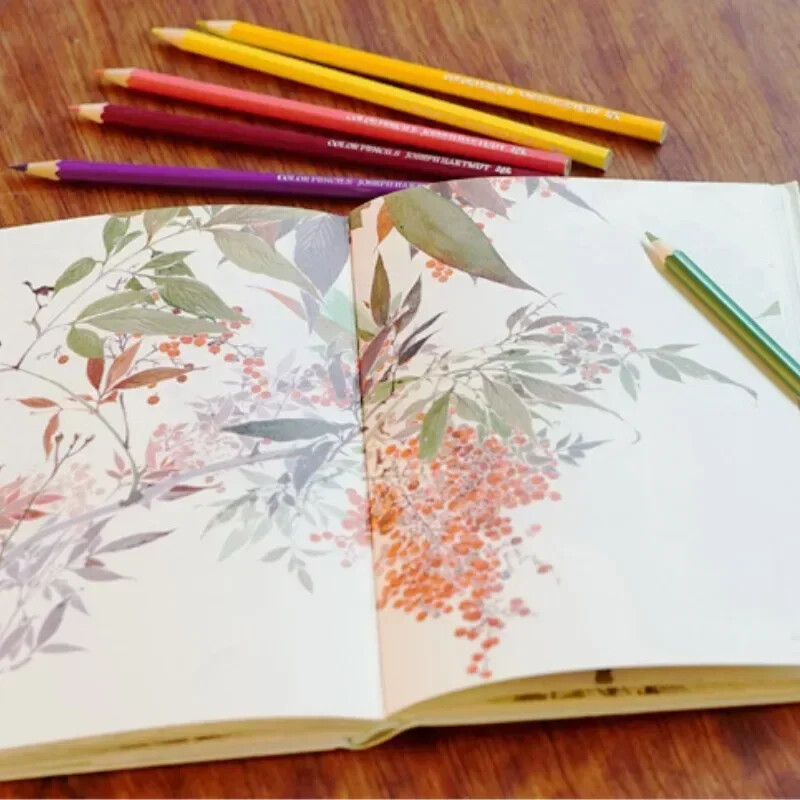 12/18/24/36/48/72 Boje Olovke u boji drveta Lapis De Cor Umjetnička slika Uljna olovka u boji Školski crtež Skica Umjetnički pribor