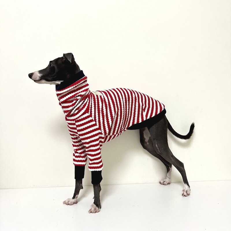 Rudens ir žiemos megztiniai kurtams, grynas medvilninis audinys, minkšti šunų drabužiai kurtams vipeto bedlingtono terjeras