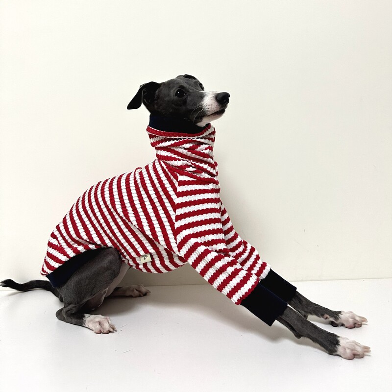 Rudens ir žiemos megztiniai kurtams, grynas medvilninis audinys, minkšti šunų drabužiai kurtams vipeto bedlingtono terjeras