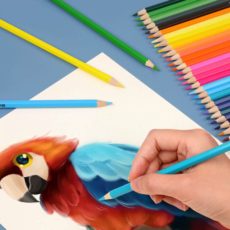 12/24/36/48 Colors värvilised pliiatsid täiskasvanutele mõeldud värvimisraamatutele, õlipõhised joonistuspliiatsid, professionaalsed kunstitarbed täiskasvanutele
