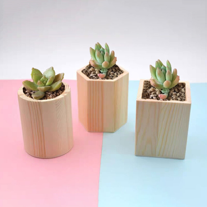 2 бр. Боров държач за химикалки Органайзери за канцеларски материали Предмети за съхранение Дървена сукулентна саксия Настолен държач за писалка Офис Декор за саксии