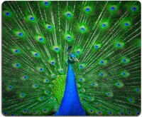 Paunova podloga za miša Pretty Animal Feather Gaming Mousepad Vodootporna neklizajuća gumena podloga Podloga za miša za uredsko kućno prijenosno računalo