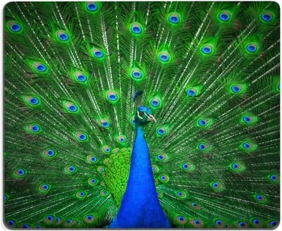 Paunova podloga za miša Pretty Animal Feather Gaming Mousepad Vodootporna neklizajuća gumena podloga Podloga za miša za uredsko kućno prijenosno računalo