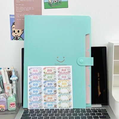 Απλή φορητή επεκτεινόμενη τσάντα αρχείων μεγάλης χωρητικότητας Αδιάβροχη τσάντα φακέλου φακέλου PC Archive a4