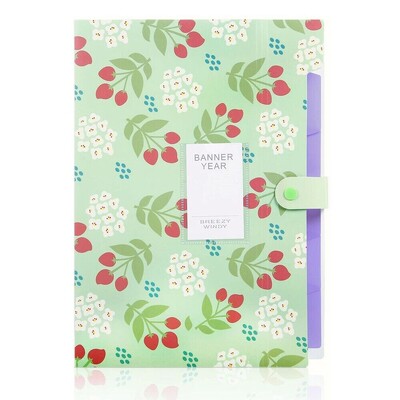 Υψηλής ποιότητας φάκελος αρχείων πολυπροπυλενίου Αδιάβροχη οργάνωση εγγράφων A4 Πολυεπίπεδη τσάντα οργάνων