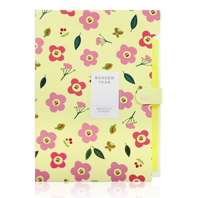 Uus polüpropüleenist failikaust Veekindel mitmekihiline organikott A4 testpaberist korraldaja