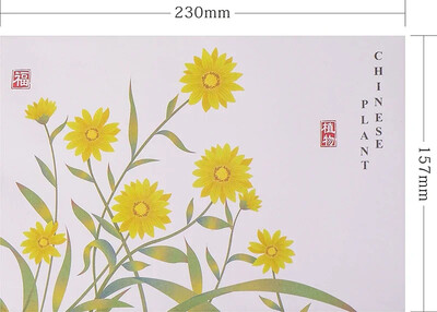 5 buc. Plicuri mari Kawaii Cireș Daisy Plicuri pentru Scrisoare Carte de invitație pentru nuntă Copertă de carte poștală 18X13CM 23X15.7CM