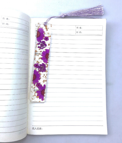 Kūrybinė žymė Skaitymo knygos ženklas Daisy džiovintų gėlių kutas Žymė Motinos dienos knygų mylėtojui Dovanų dervos žymė