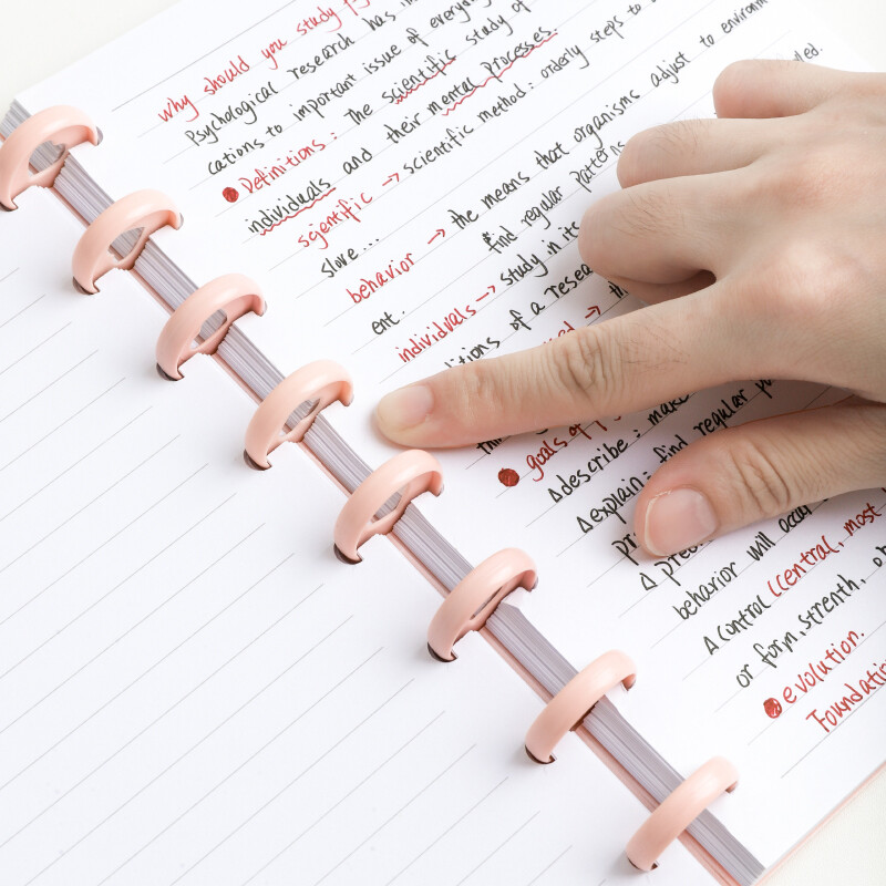 1 pakuotė A5/B5 paprastas nešiojamas nuimamas nešiojamojo kompiuterio grybo mygtukas laisvai lapelis bloknotas arba darbas, mokykla ir žurnalas 80 lapų / 160 puslapių