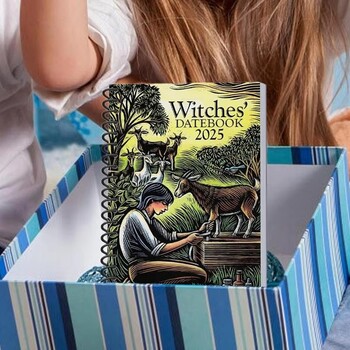 Witches Datebook 2025 Modern Witch\'s Grimoire Journal Beautiful Novelty Planner Weekly and Monthly for Family Friends