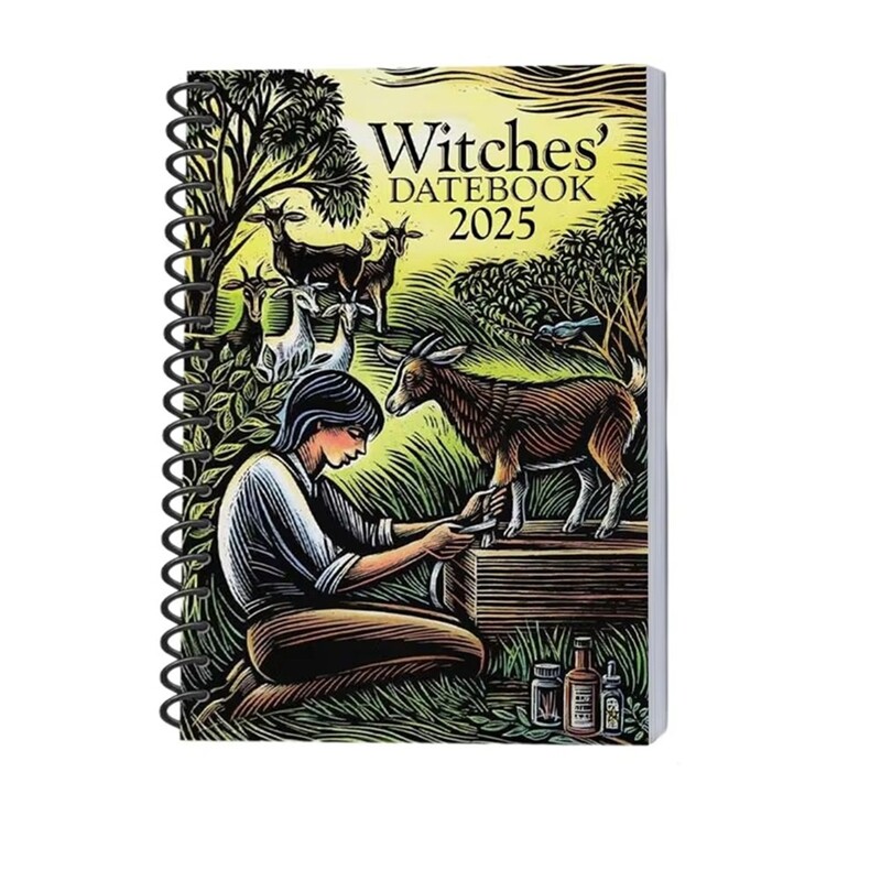 Дневник на вещиците 2025 г. Modern Witch's Grimoire Journal Красив седмичник и месечник за планиране на новости за семейни приятели