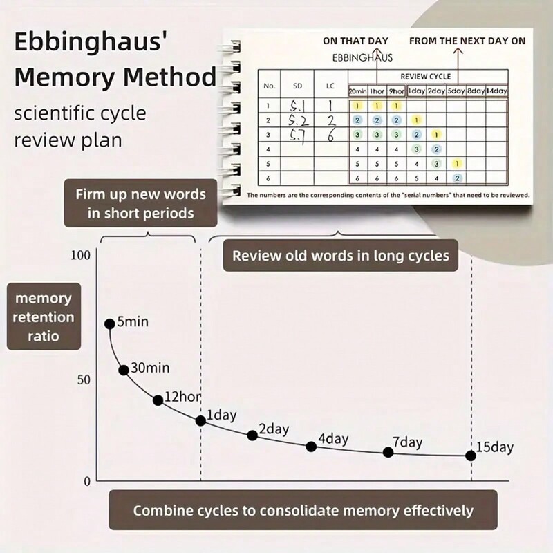 2 bucăți/set Carte de note adezive portabilăPlanificator portabil de memorie de cuvinte în limba engleză