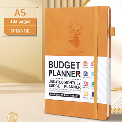 Bilježnica za praćenje troškova planera proračuna. Financijski dnevnik, knjiga računa, organizator mjesečnog proračuna, tjedni planer, praćenje računa